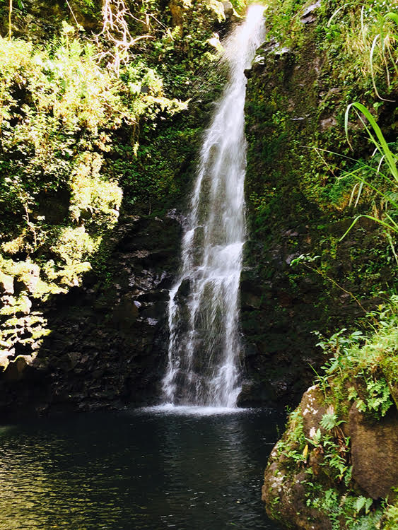 Lots Available in Hawai'i's First 'Agrihood' - Foundation for ...