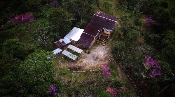 vegan intentional communities ecuador