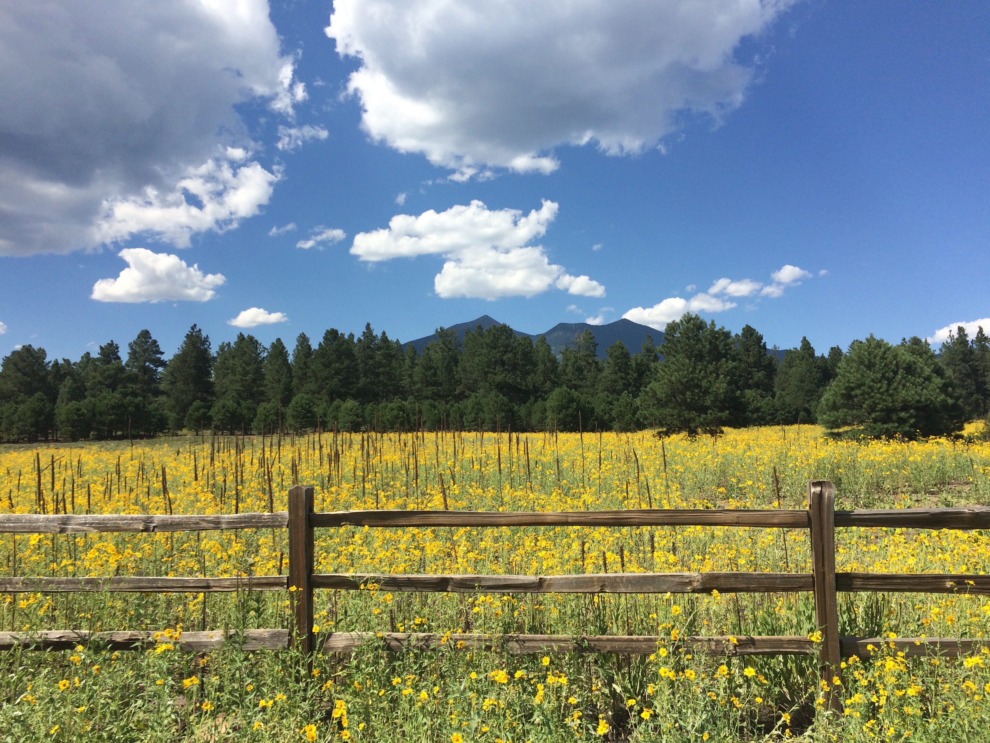 Flagstaff Cohousing - Foundation for Intentional Community